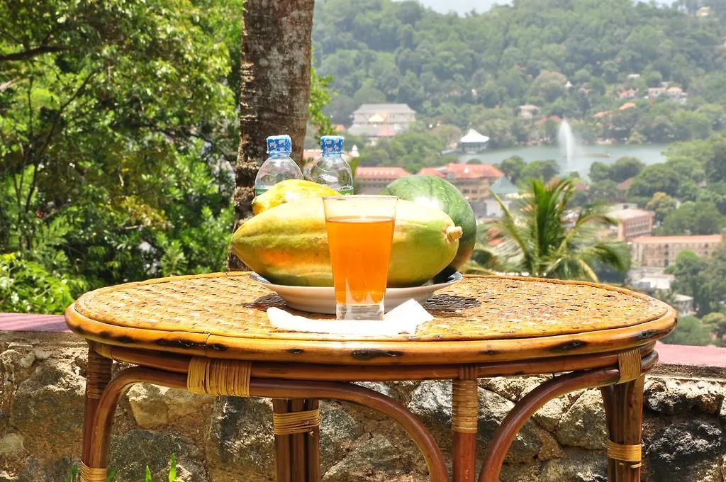The Buena Vista Kandy 0*,