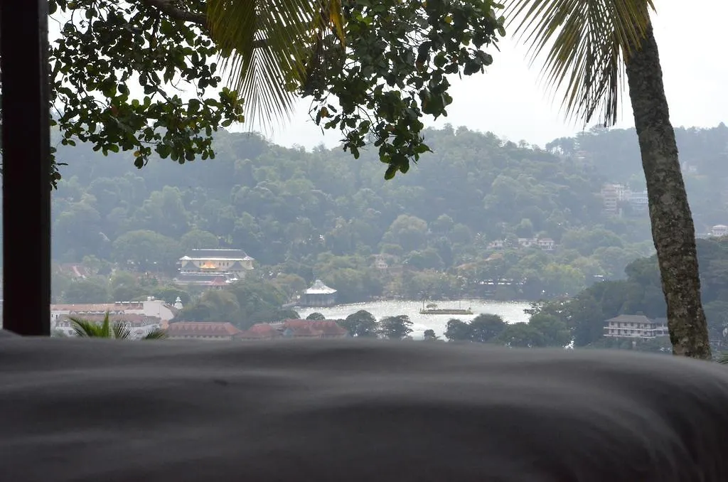 The Buena Vista Kandy